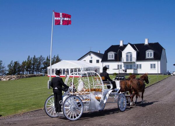 Hjørring Telt og Service Udlejning